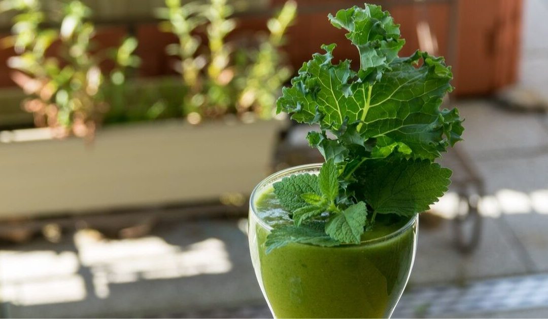 How to Make a Green Smoothie (Easy Guide for Beginners)